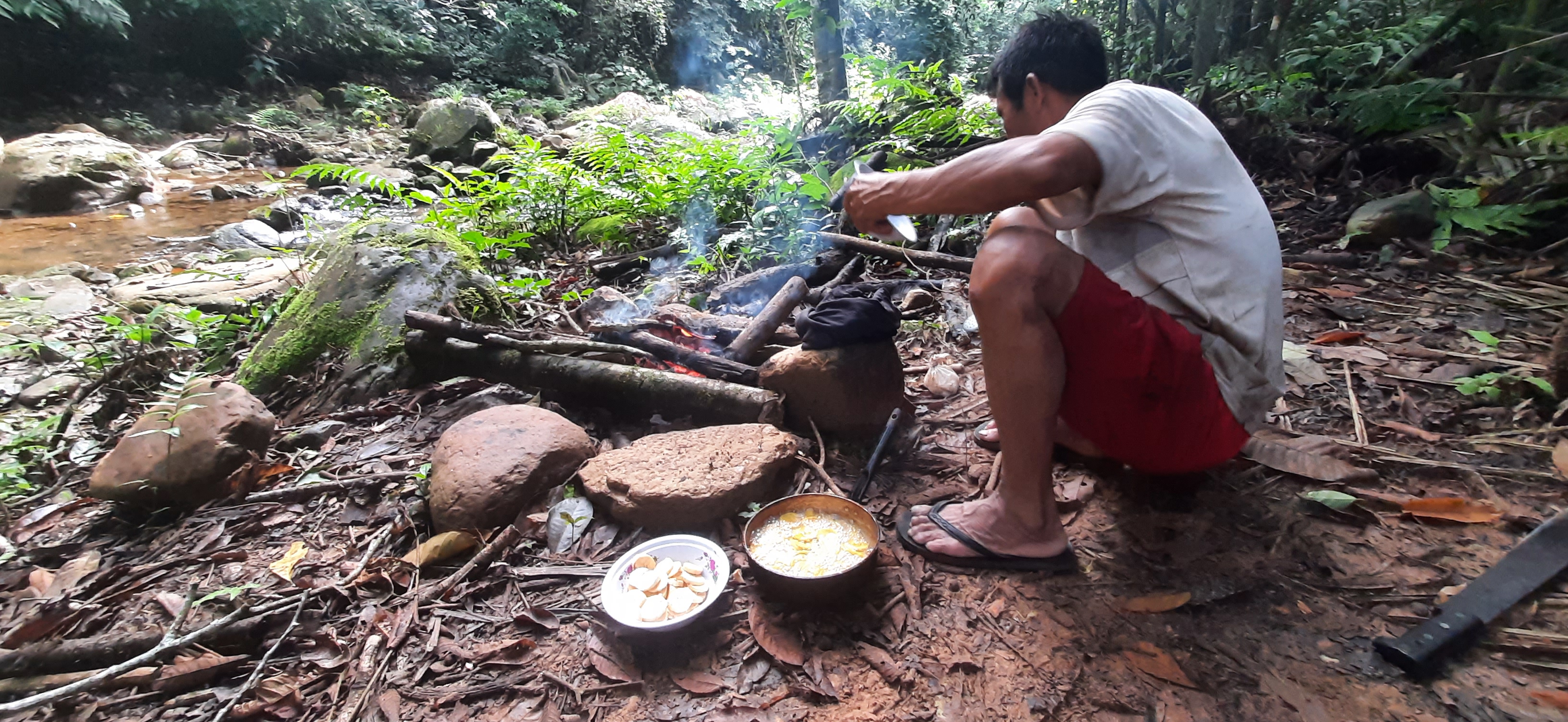Amazonia